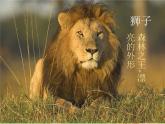 5《变幻的画面》课件+素材