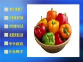 《我家的菜籃子》課件+素材