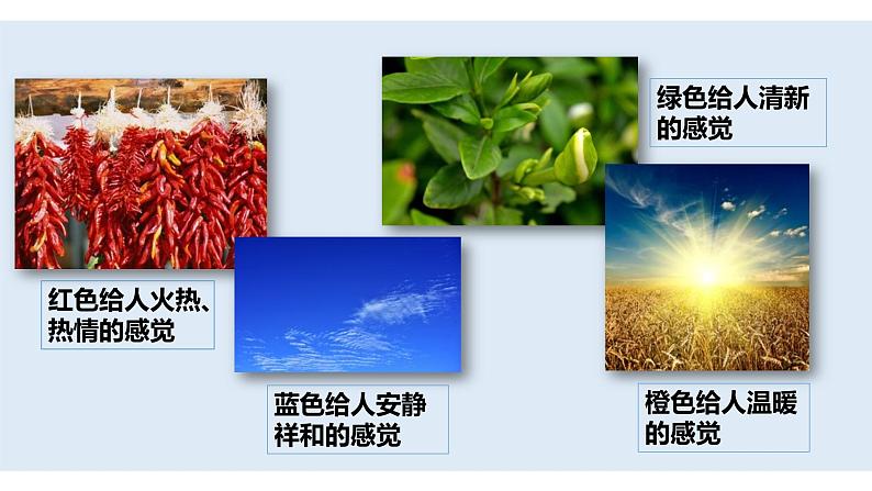 《缤纷的涂色游戏》课件+素材05