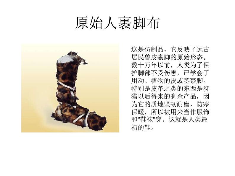 《有趣的鞋》课件+素材03