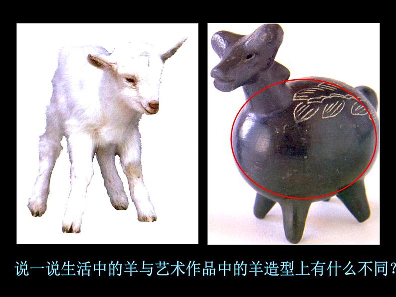 《我们的动物乐园》课件第3页