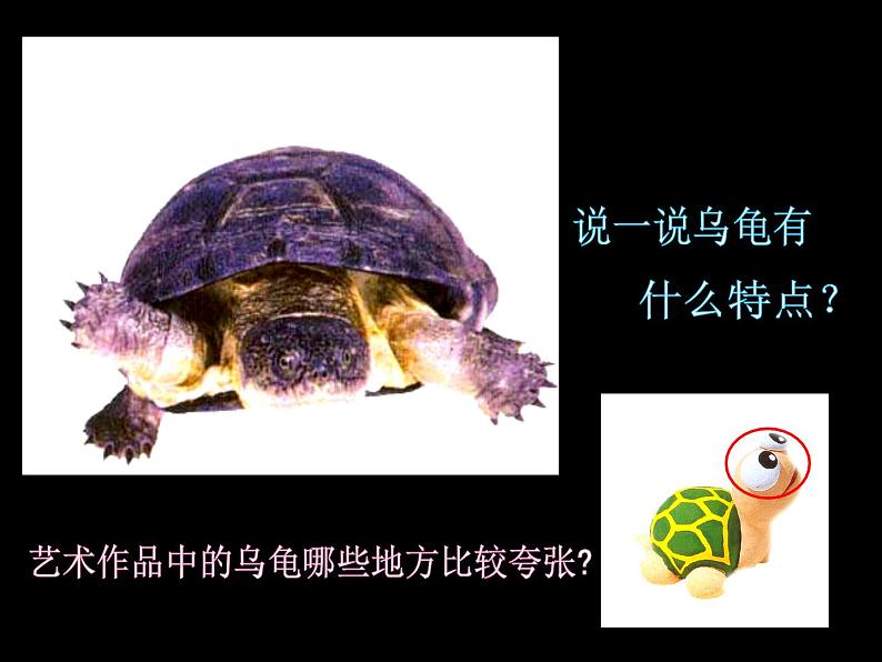 《我们的动物乐园》课件第5页