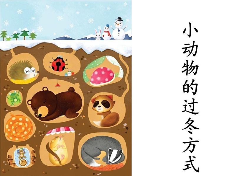 小动物的过冬方式第1页