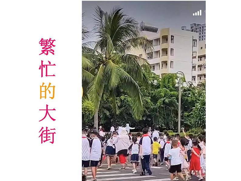 繁忙的大街课件PPT第2页