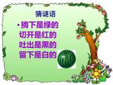 第6課《水果大聚會(huì)》課件
