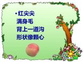 第6課《水果大聚會(huì)》課件