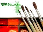 第十五課《茂密的山林》課件