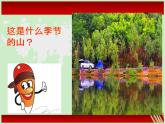 第十五課《茂密的山林》課件
