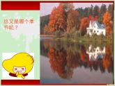 第十五課《茂密的山林》課件