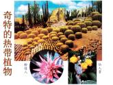 第十四課《奇特的熱帶植物》課件
