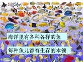 《魚兒的啟示》課件