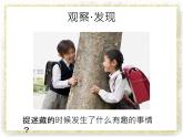 第17課《“捉迷藏”》課件