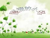 第8课《展翅的小鸟》课件
