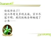 第17课《编本小书送母校》课件