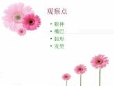 第16课《难忘师生情》课件