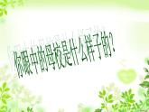 第18课《再见了母校》课件