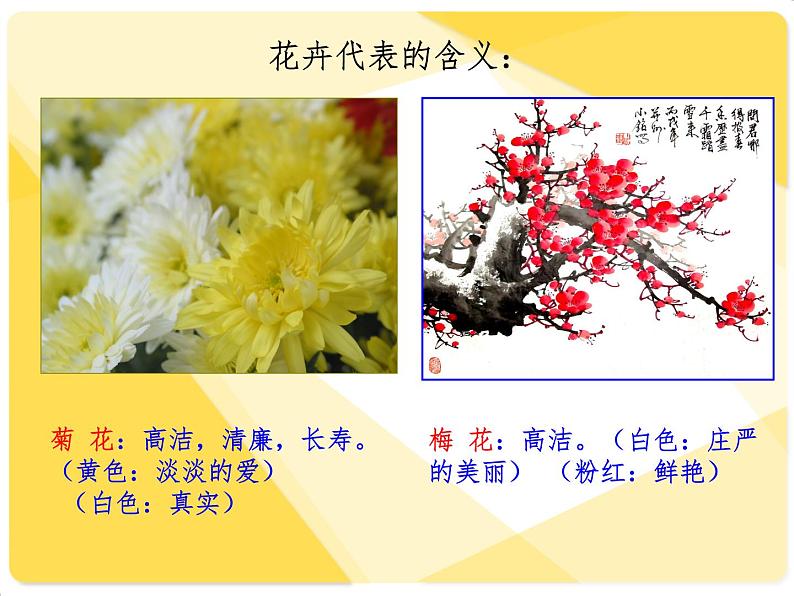 第六课《美丽的瓶花》课件04