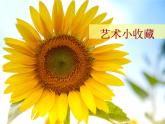 《藝術(shù)小收藏》課件
