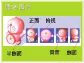 第3課《從不同角度畫物體》課件