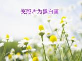 第9課《變照片為黑白畫(huà)》課件