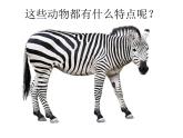 第9課《變照片為黑白畫(huà)》課件