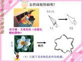 第8課《變寫(xiě)生畫(huà)為裝飾畫(huà)》課件