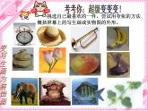 第8課《變寫(xiě)生畫(huà)為裝飾畫(huà)》課件