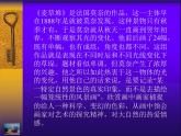 嶺南版  美術(shù)五年級上冊 第一課《陽光下的世界》課件