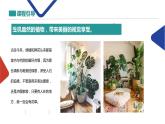 植物課件PPT