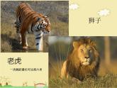 《变幻的画面》课件(1)(1)