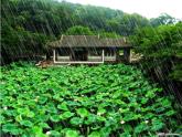 第4課 下雨啦（5）（課件）美術(shù)一年級上冊-人教版
