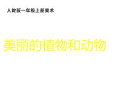 第20課 美麗的植物和動物（4）（課件）美術(shù)一年級上冊-人教版
