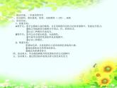 第1課 認(rèn)識(shí)美術(shù)工具（5）（課件）美術(shù)一年級(jí)上冊(cè)-人教版