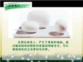 第2課 光影變幻（10）（課件）-2021-2022學(xué)年美術(shù)六年級(jí)上冊(cè)-湘美版