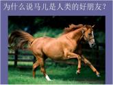 第15課 我和馬兒在一起（4）（課件）美術(shù)二年級(jí)上冊-人教版