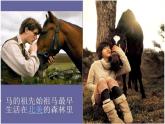 第15課 我和馬兒在一起（4）（課件）美術(shù)二年級(jí)上冊-人教版