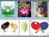 人教版小學(xué)二年級(jí)美術(shù)上冊(cè) 第8課　對(duì)印的圖形 課件