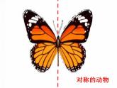 人教版小學(xué)二年級(jí)美術(shù)上冊(cè)《8.對(duì)印的圖形》課件