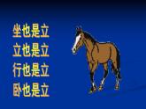 人教版小學(xué)二年級(jí)美術(shù)上冊《15.我和馬兒在一起》課件