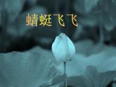 人教版小學(xué)二年級(jí)美術(shù)上冊(cè)《9.蜻蜓飛飛》課件