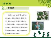 葉子上的小“血管”PPT課件免費下載