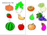 美術(shù)二年級(jí)下人教版 11蔬果變變變 課件（19張）