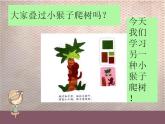 人教版二年級美術(shù)下冊《17.會爬的玩具》課件