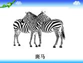 人教版小學(xué)三年級(jí)美術(shù)上冊(cè) 6.黑與白 課件（24張）