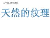 人教版小学三年级美术上册9天然的纹理 课件（10ppt）