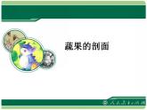 人教版小学四年级美术上册《3.蔬果的剖面》课件