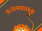 人教版小學(xué)四年級(jí)美術(shù)上冊(cè)4 生活中的線條 課件（12張）