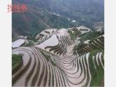 人教版小學(xué)四年級(jí)美術(shù)上冊(cè)4 生活中的線條 課件（9張）