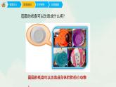 人教版六年級上冊美術(shù)第11課《廢舊物的新生命》精品ppt課件（共21張）