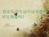 美术五年级上人教版 1色彩的对比 课件（23张）